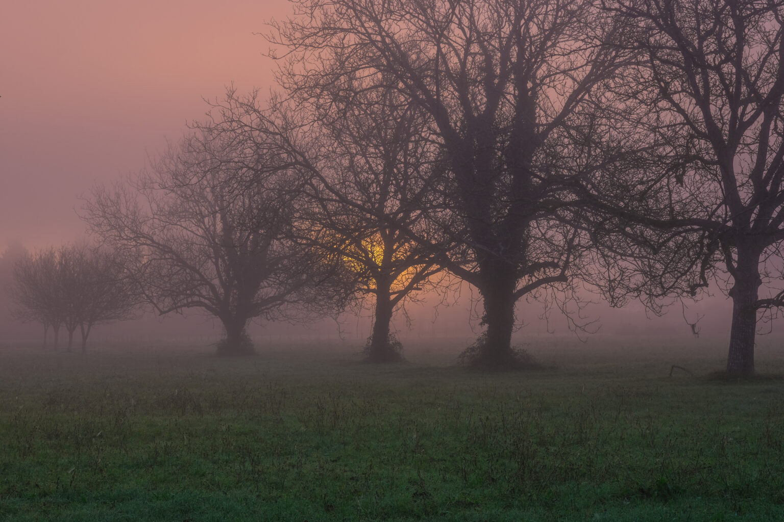 Lever du jour dans la brume