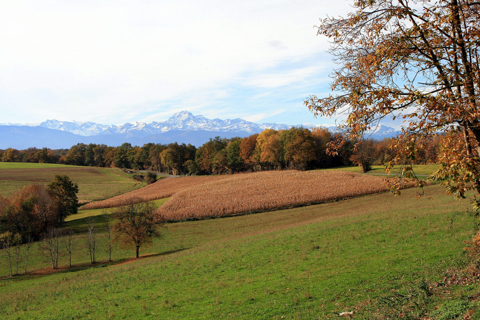 Campagne Gersoise