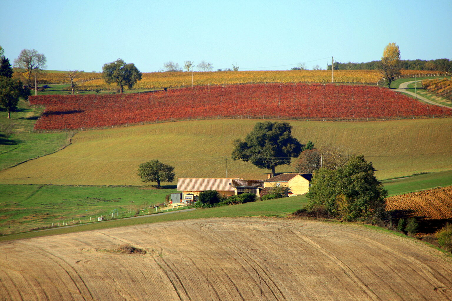 Campagne d'automne