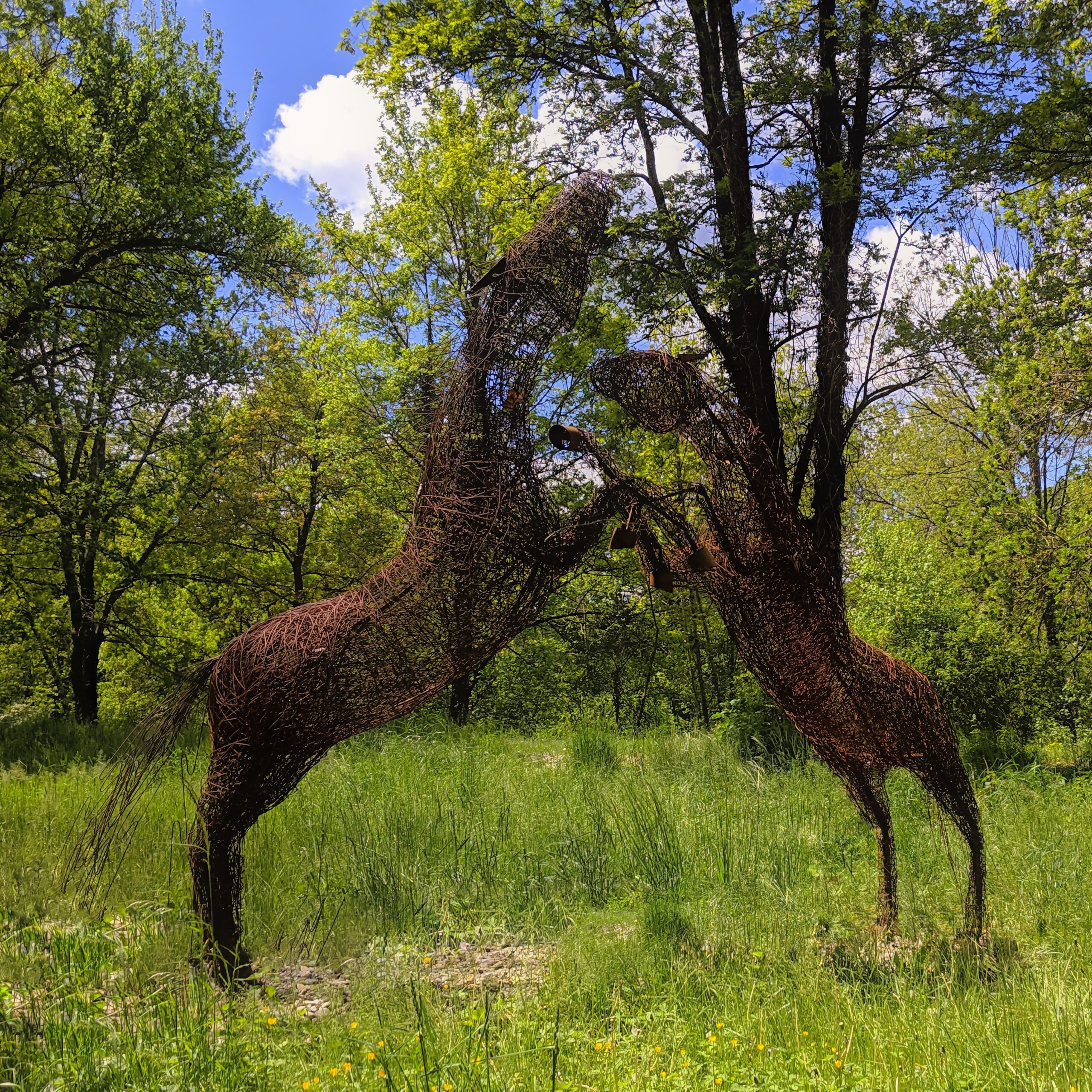 Chevaux d’acier dans la prairie