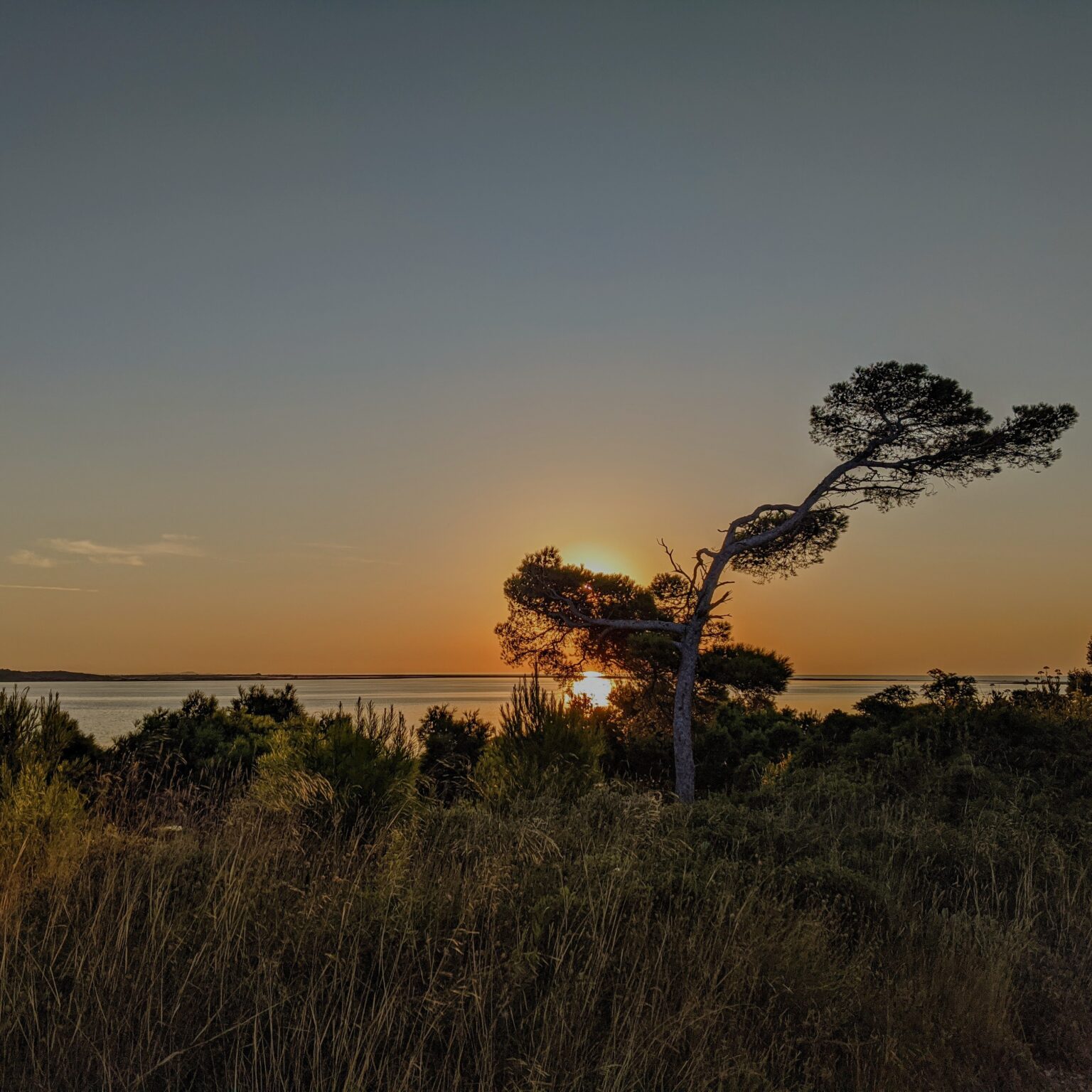 Lever de soleil, Île Sainte-Lucie (11)